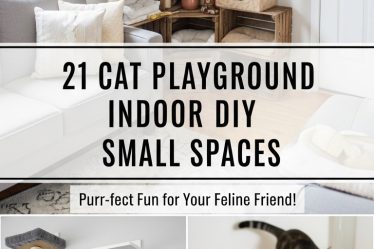 21 Cat Playground Indoor DIY Small Spaces